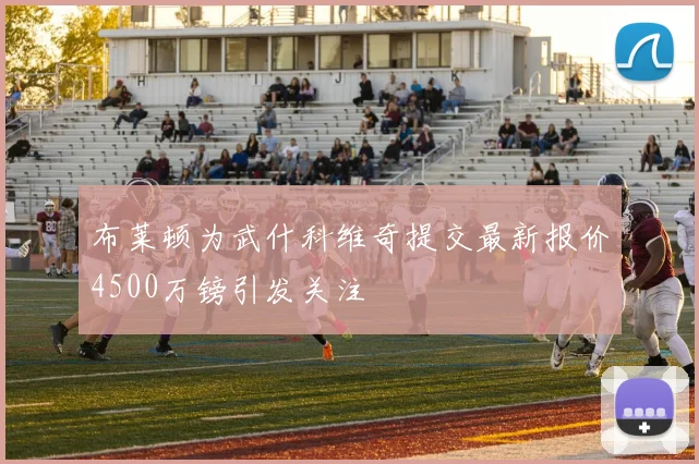 布莱顿为武什科维奇提交最新报价4500万镑引发关注